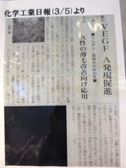 image-20131030113851.png